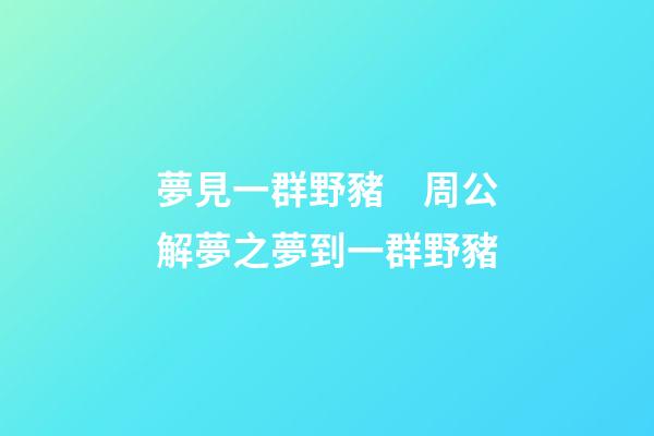 夢見一群野豬　周公解夢之夢到一群野豬